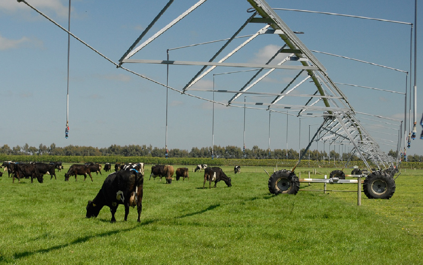 Dairying was the category for the 1997 Lincoln University Foundation/Rabobank Farmer of the Year Awards