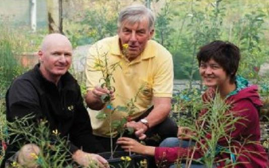 Professor Steve Wratten, centre, with biodiesel plant research team members