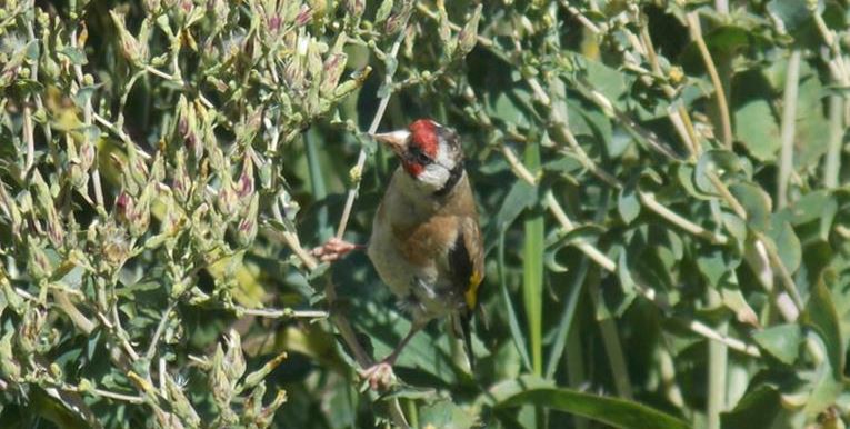 30 October 1998 
Environment/Property Rights Conference to tackle tough issues
