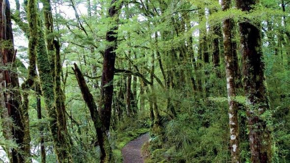 24 September 1998 
Environmental information at the strike of a key &ndash; Korean prototype will provide a New Zealand first