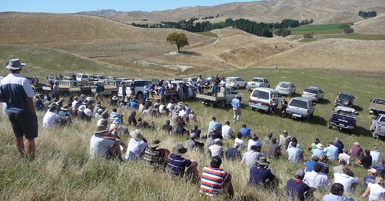 17 December 1999 
Organics Field Day at Lincoln
