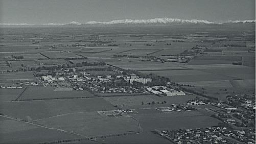 12 May 1999 
Soil Losses in City Plan Disappoint Scientist &ndash; protection measures 'urgent'