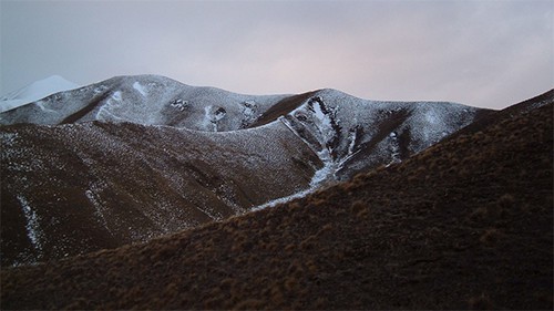 24 August 2001 
Downstream Losses from Accommodation Closures 'can be costly' 