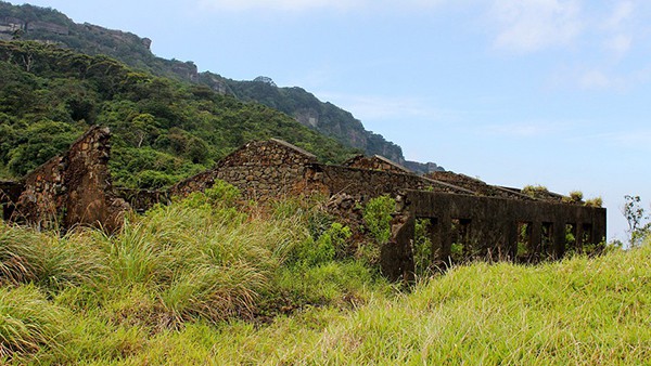 15 October 2002 
Landscape students' public exhibition opens