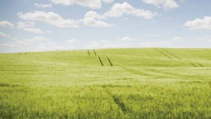 3 July 1992 
Farewell to Mountain Lands Institute