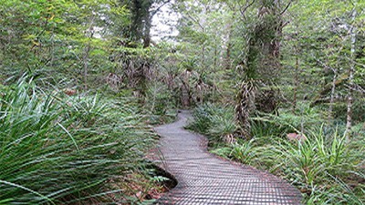 Walking tracks are among ideas put forward to the Christchurch City Council by Lincoln University Bachelor of Environmental Management students as part of their degree studies
