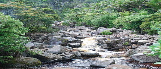 Increasing urbanisation and the use of EDC chemicals may be impacting our waterways and environment