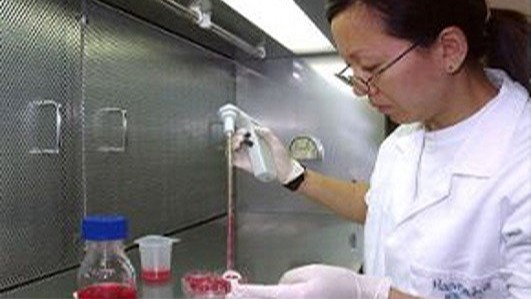 Hannah Lee, who is studying the physical and chemical changes in the lens of the eye during cataract formation