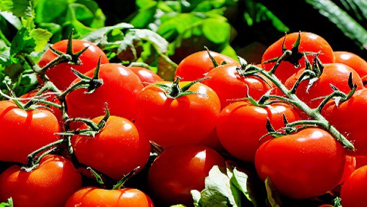 Lincoln University research has shown that people buy tomatoes based on colour