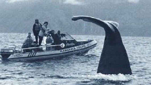 Funding has been approved for tourism research, to be managed and led by Lincoln University.