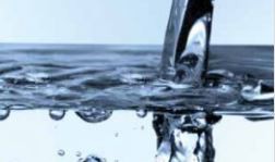 10 April 2008
Ecology Programme for Schools Wins 3-Year Funding 