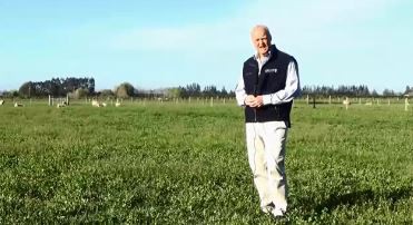 Professor of Plant Science Derrick Moot.