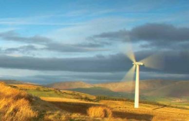 15 July 2008
Alternative Fuels Project to Target Sustainable Biofuels 