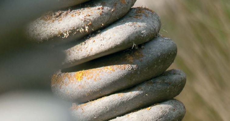 13 March 2009
Strong Lincoln University connections among Ellerslie Flower Show award winners 