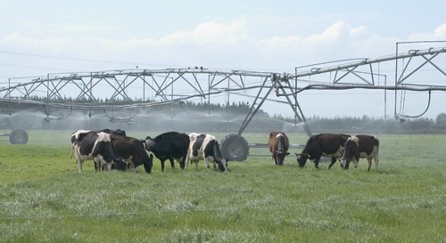 18 February 2010
South Island dairying partnership gets added boost 