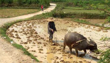 18 March 2010
Gaining access to microcredit 
