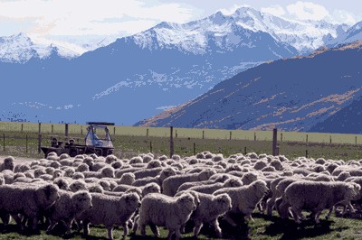 17 June 2010
Young inventor resolved farming dilemma with winning piece of engineering 