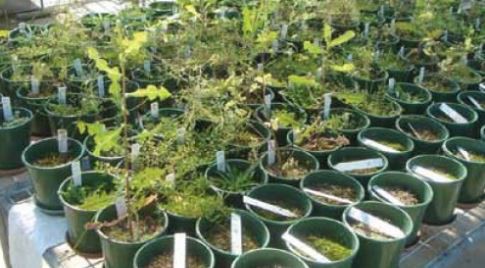 24 September 2010
Accolade of Marsden Fund grants for Lincoln University pair 