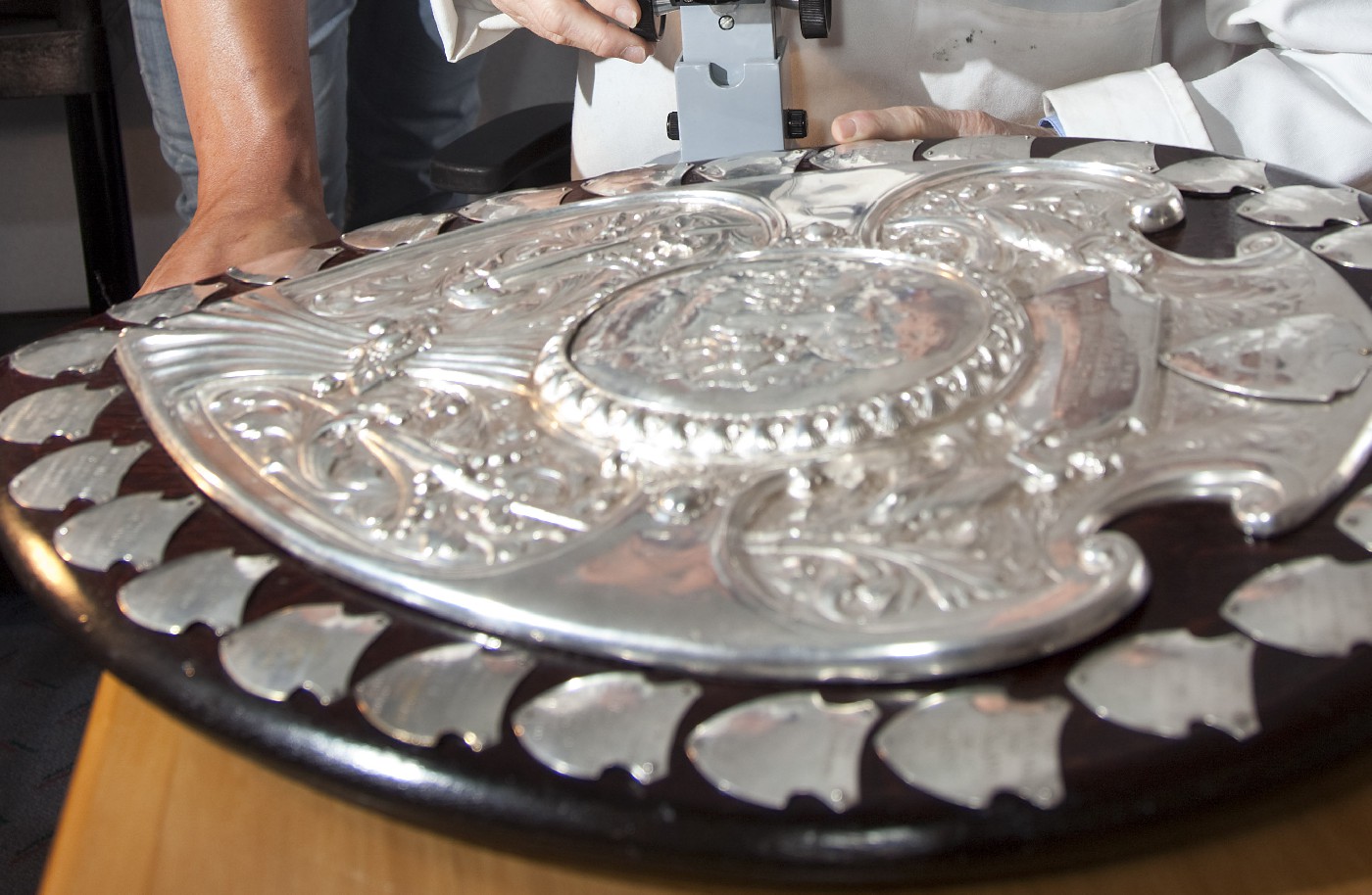 16 October 2010
Science confirms log of wood the dinkum article 