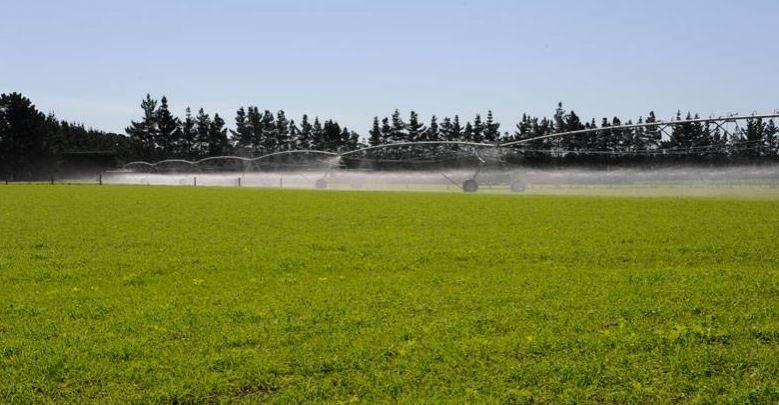20 October 2010
Centennial time for Lincoln University's Ashley Dene Farm 