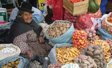 27 January 2011
LUCID research can clearly make its mark 