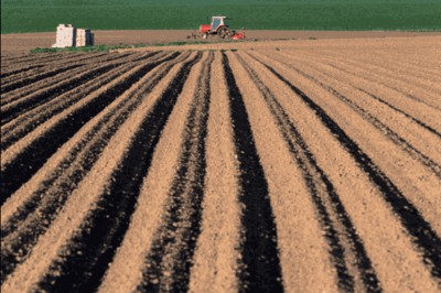 26 October 2011
Four finalists have been named for the 2011 South Island Farmer of the Year competition 
