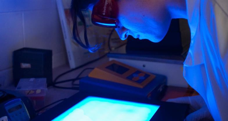 29 April 2013
World-class land-based research and innovation hub in Lincoln University 