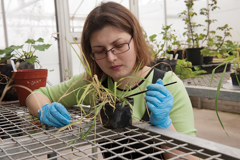 Anastasija Chomic a PhD student at the Bio-Protection Research Centre