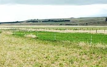 8 May 2014
The Future of Weed Management: Sustainable Agriculture Series 