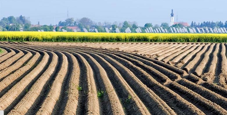 6 June 2014
New Zealand's specialist land-based university can help meet New Zealand's needs 