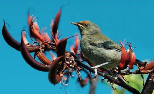 16 June 2014
Just put ferret: Big drama at Big Biology Quiz 
