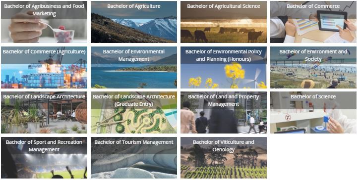 1 July 2014
High global status for new degree 