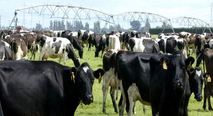 16 September 2014
Environmental stewardship trumps big returns, research shows