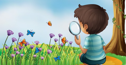 10 October 2014
Community event to bring back the butterflies