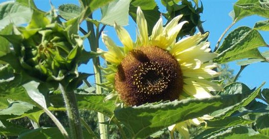 30 October 2014
Gap filling projects reach crucial juncture