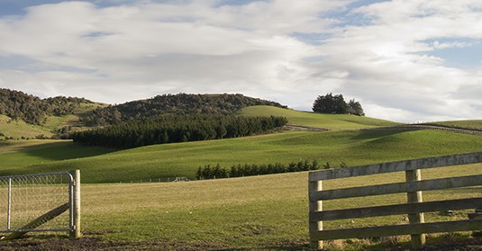 7 November 2014
Vision realised through gift to University