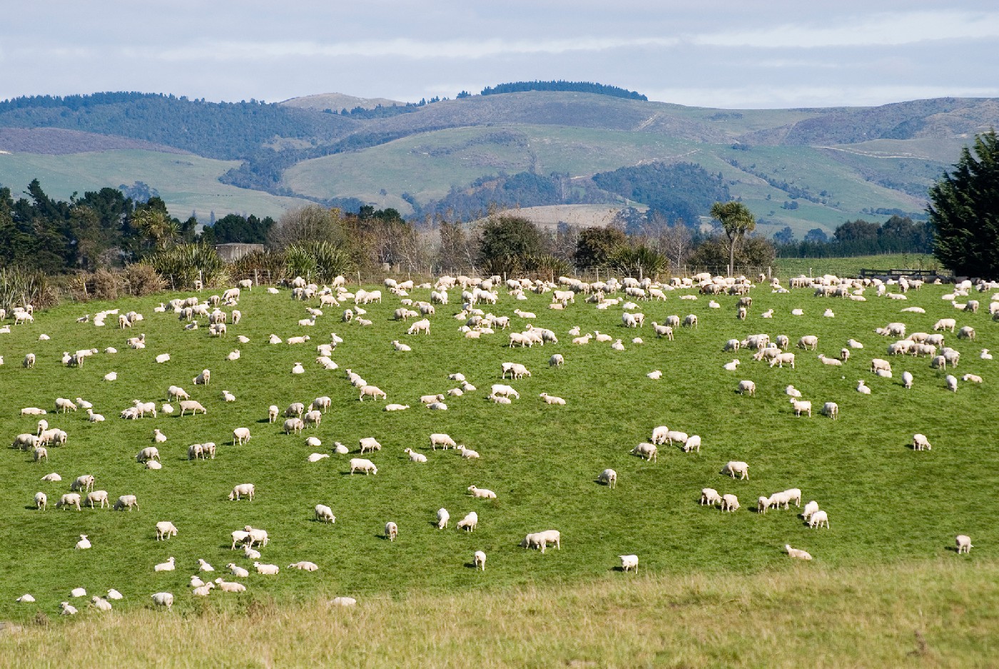 25 November 2014
The last generation: Handing down the farm not always easy