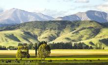 26 November 2014
Methane consuming microbes combat climate change