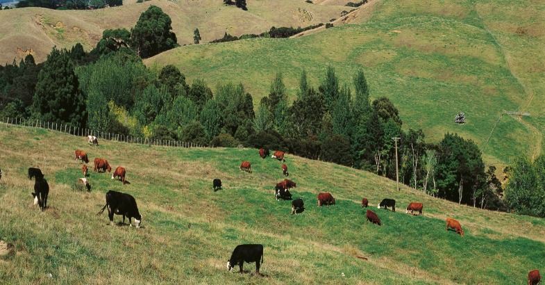 19 April 2016
Fertile ground for enhancing farming software