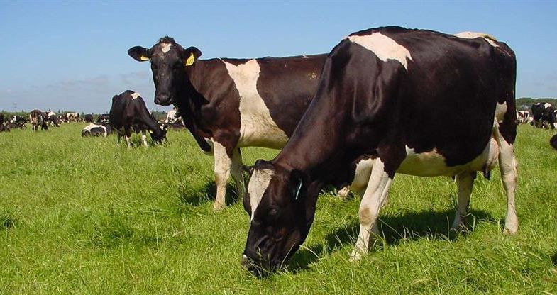 4 May 2015
Lincoln stands firm in QS ag rankings