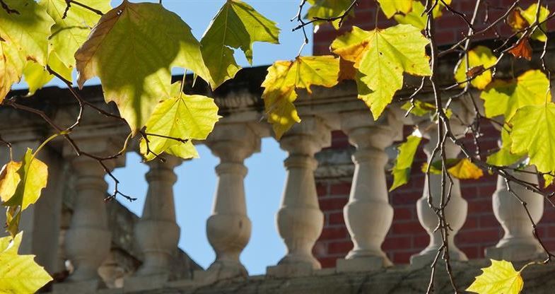 18 May 2015
Agria-Lincoln partnership establishes strategic cooperation with Guiyang Government 