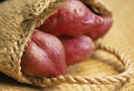 10 June 2015
Helping to grow knowledge in garden rooted in past 