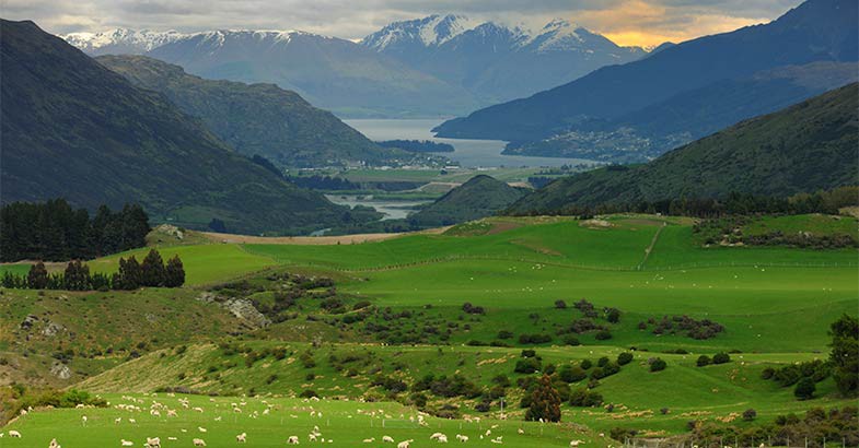 18 June 2015 
Agricultural Economics strengthened at Lincoln