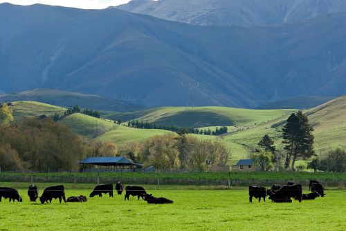 12 August 2015
Reducing waste to feed the world 