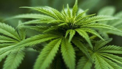 25 February 2021
Lincoln connects business partners