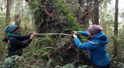 21 August 2015
Restoration up close and personal 