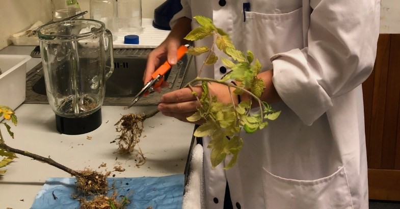 29 March 2021
Master&rsquo;s student committed to protecting NZ environment