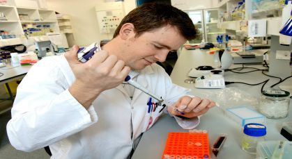 21 September 2015
New genetic test for vine varieties 