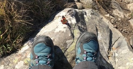 5 May 2021
Snapshot of local species taken