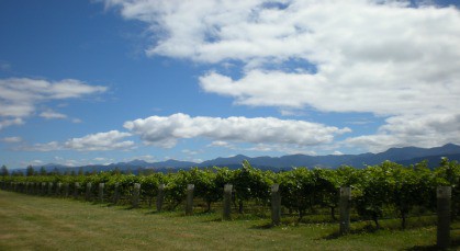 14 October 2015
Minerality mysteries remain 